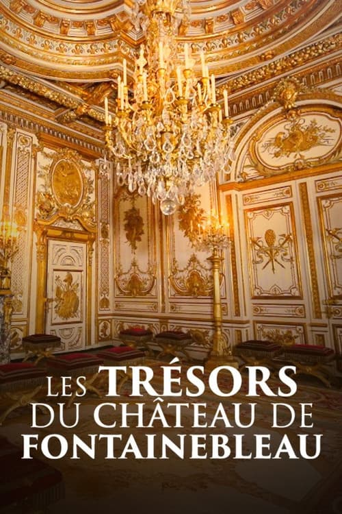 Affiche du film Les trésors du château de Fontainebleau (2024)