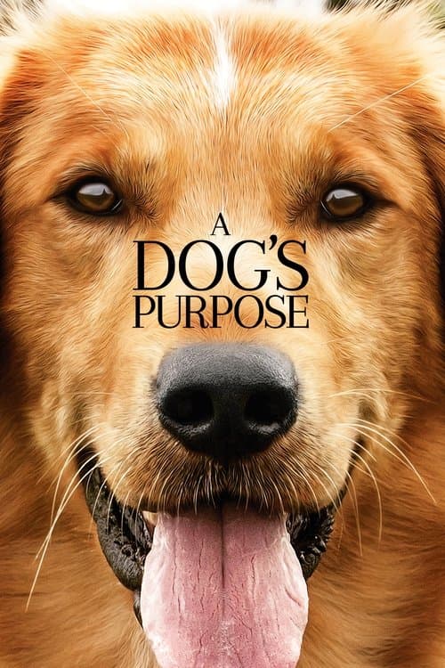 ملصق فيلم A Dog's Purpose (2017)