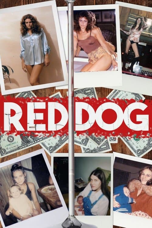 Affiche du film Red Dog (2019)