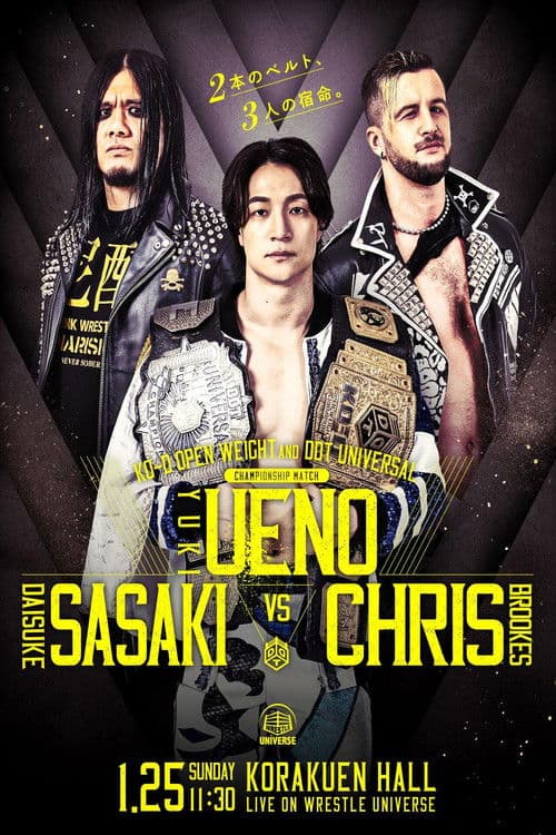 MISSION IN BATTLE ~新春絢爛~ (2026) movie poster