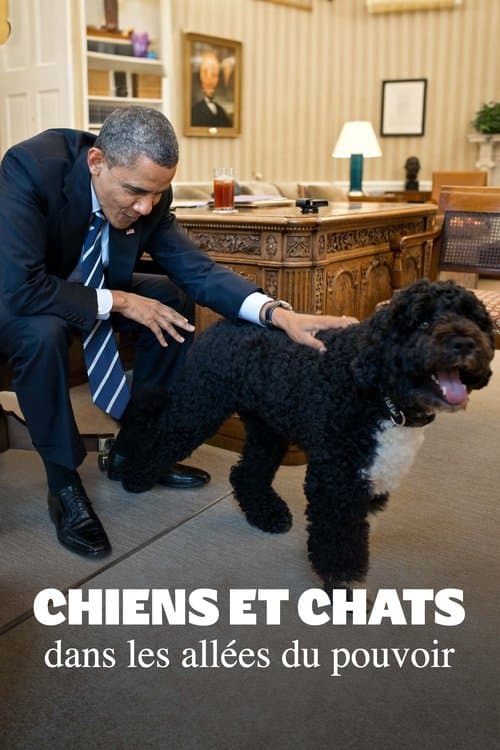Affiche du film Die Hunde der Mächtigen - und eine Katze (2024)