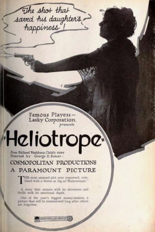 Affiche du film Heliotrope (1920)