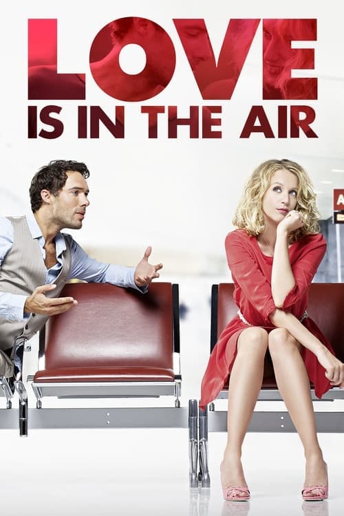 Amour & turbulences (2013) movie poster