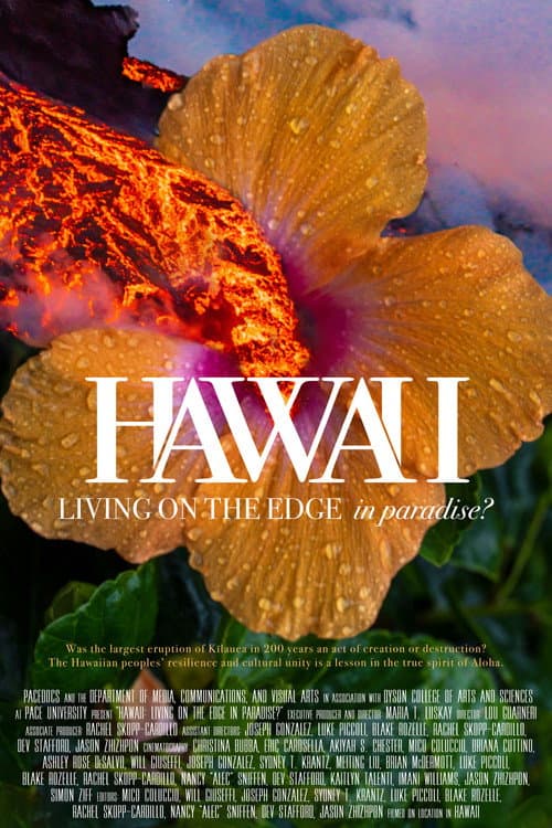 Hawaii: Living on the Edge in Paradise? (2019) movie poster