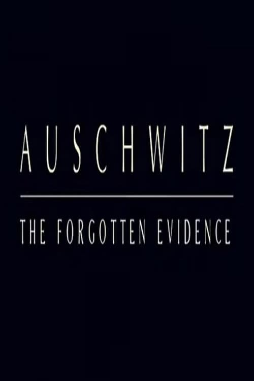 Auschwitz: The Forgotten Evidence (2004) movie poster