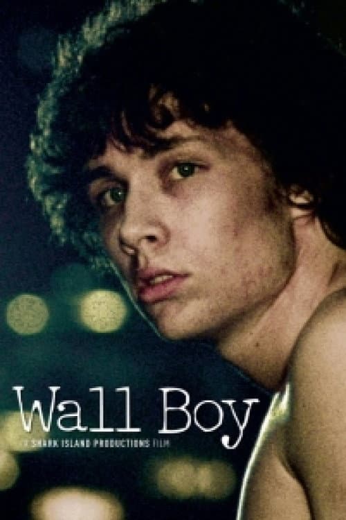 ملصق فيلم Wall Boy (2009)