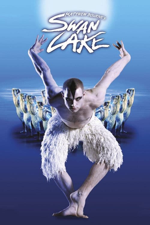ملصق فيلم Swan Lake (2012)