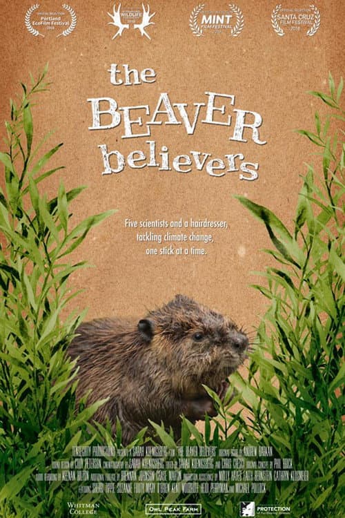 Affiche du film The Beaver Believers (2018)