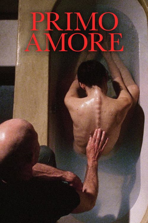 Affiche du film Primo amore (2004)