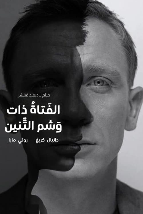 ملصق فيلم The Girl with the Dragon Tattoo (2011)