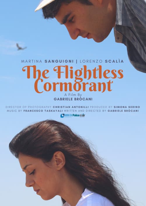 ملصق فيلم Mara dei Cormorani (2018)