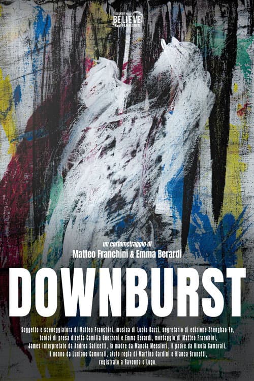 Affiche du film Downburst (2024)