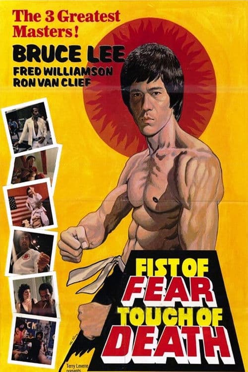 ملصق فيلم Fist of Fear, Touch of Death (1980)