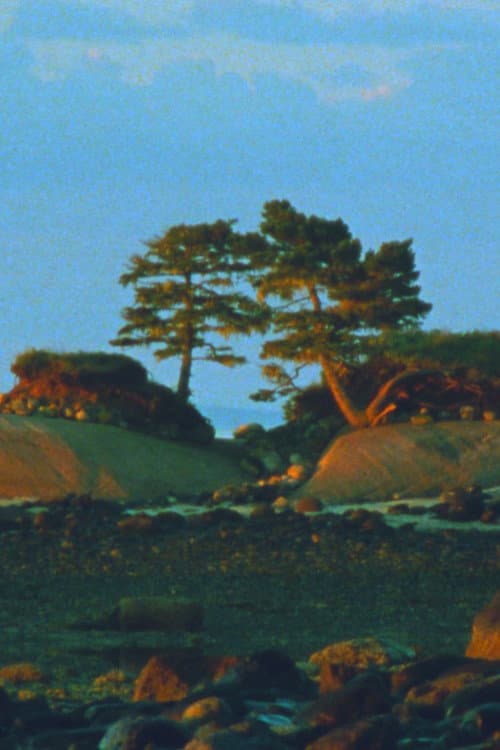 Two Trees (2024) movie poster