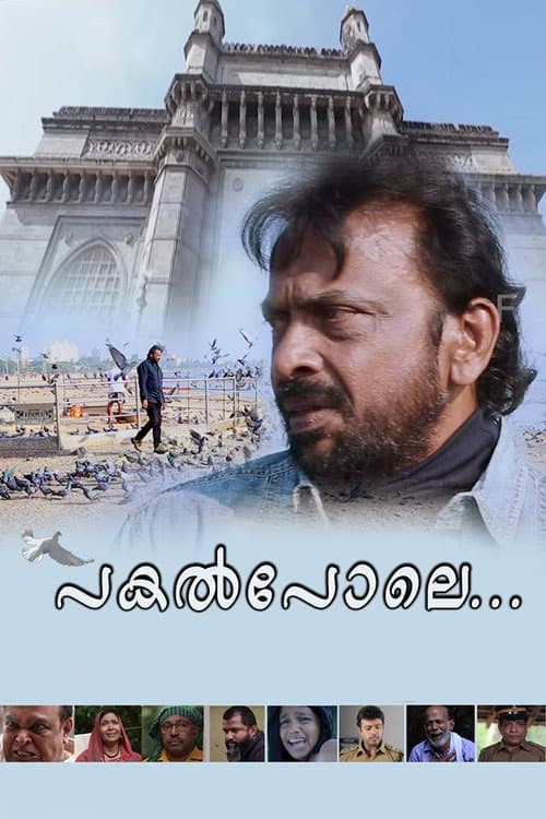 ملصق فيلم പകല്പോലെ... (2017)
