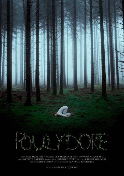 Poulydore movie poster