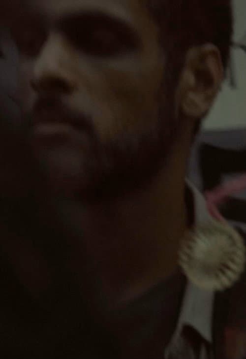 Diario ordinário (2019) movie poster