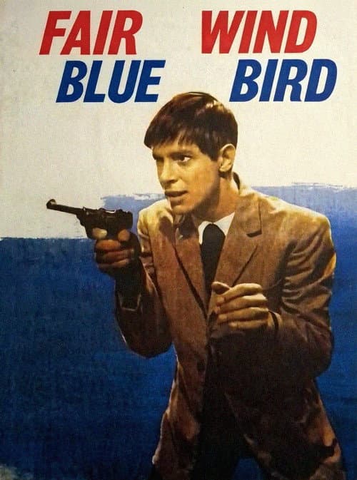 Попутного ветра, «Синяя птица»! (1967) movie poster