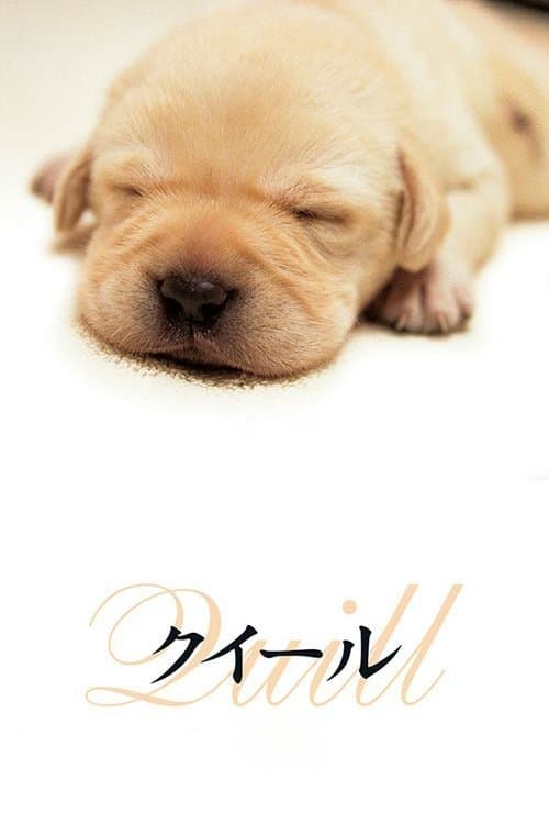 Affiche du film クイール (2004)