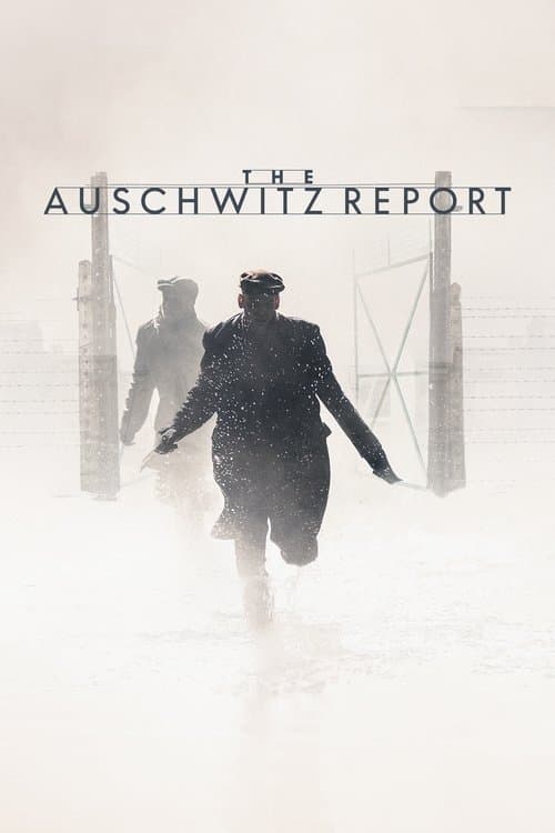 Správa (2021) movie poster