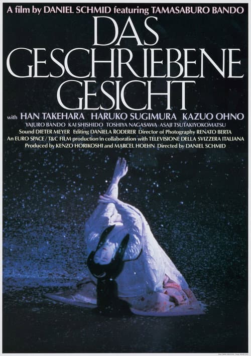 ملصق فيلم Das geschriebene Gesicht (1995)