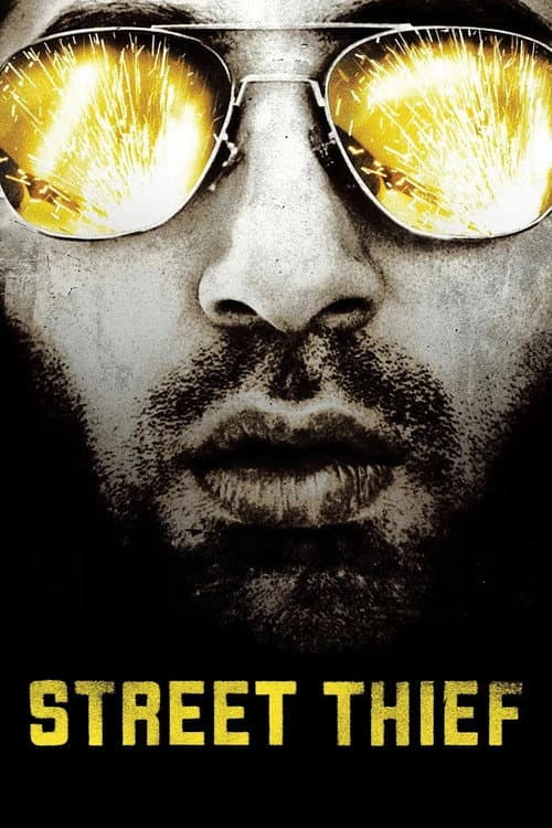 Affiche du film Street Thief (2006)