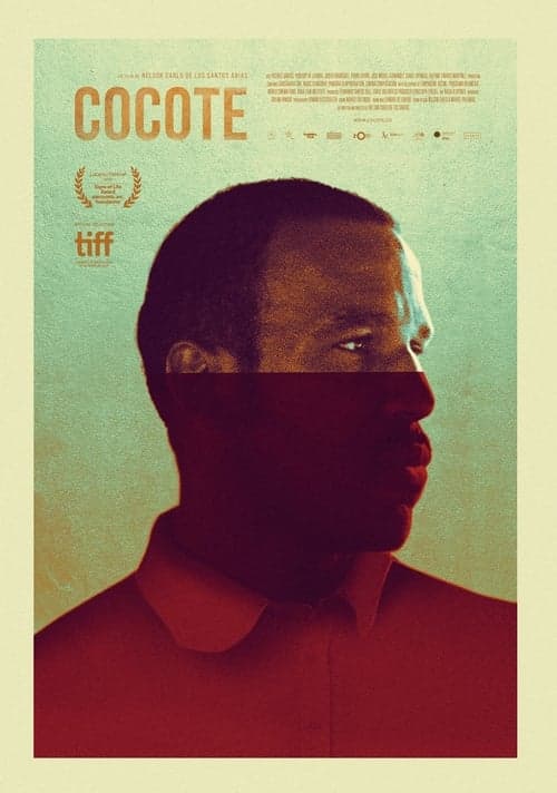 Affiche du film Cocote (2017)