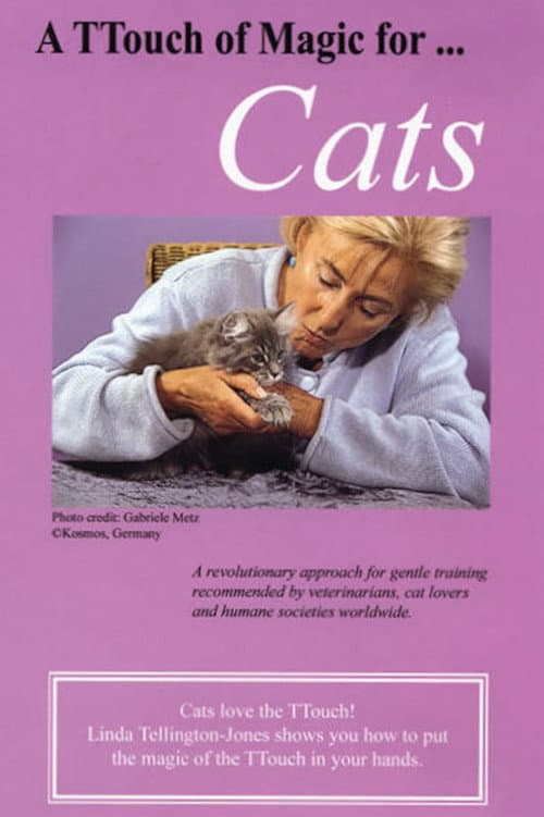 A TTouch of Magic for Cats (1994) movie poster