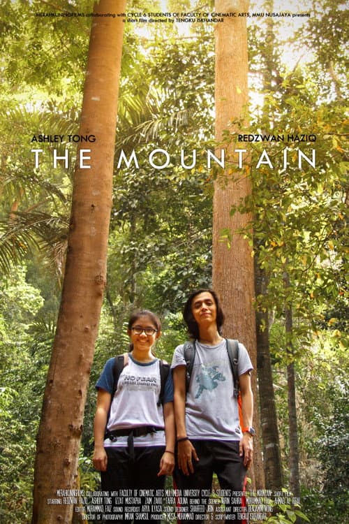 Affiche du film The Mountain (2017)
