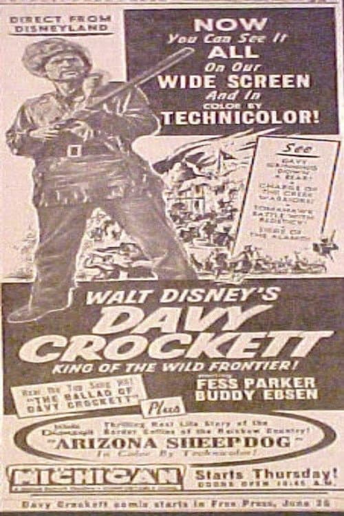 Arizona Sheepdog (1955) movie poster