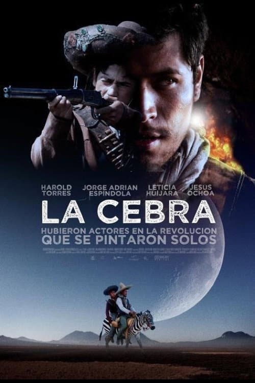 Affiche du film La cebra (2011)