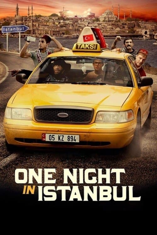 ملصق فيلم One Night in Istanbul (2014)