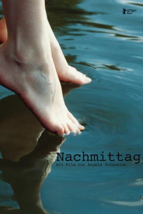 Nachmittag (2007) movie poster
