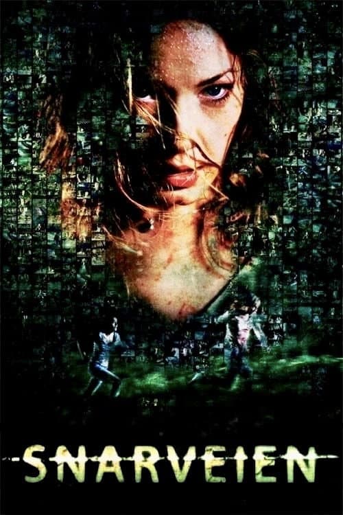 Affiche du film Snarveien (2009)