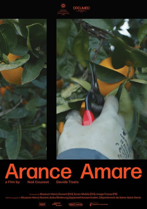 Arance Amare (2025) movie poster