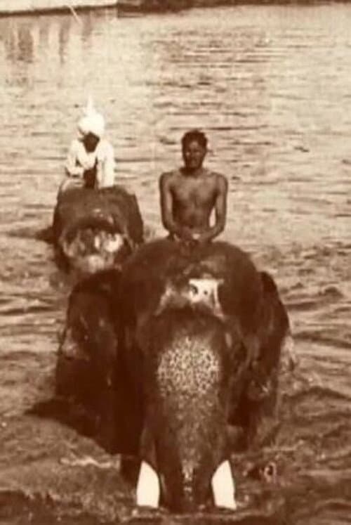 ملصق فيلم Edward Prince of Wales' Tour of India: Indore, Bhopal, Gwalior and Delhi (1922)