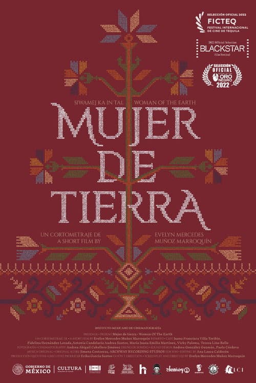 Mujer de Tierra (2021) movie poster