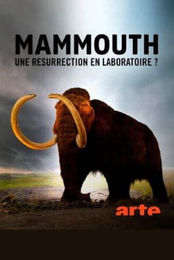 Affiche du film Ein Mammut-Projekt – Wiedergeburt ausgestorbener Arten (2024)