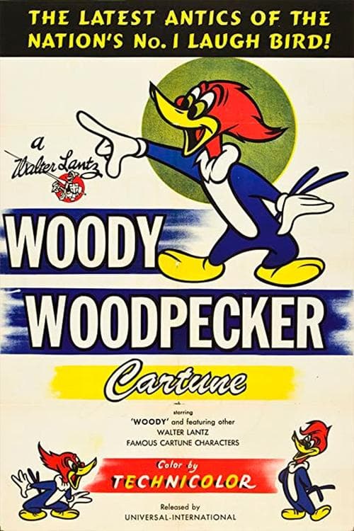 ملصق فيلم Woody Woodpecker (1941)