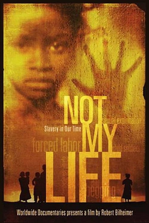 Affiche du film Not My Life (2011)