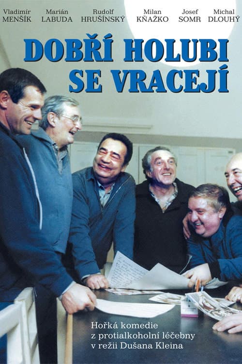 Affiche du film Dobří holubi se vracejí (1989)