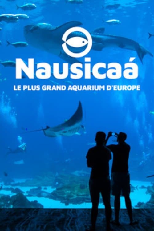 Affiche du film Nausicaa, le plus grand aquarium d'Europe (2019)
