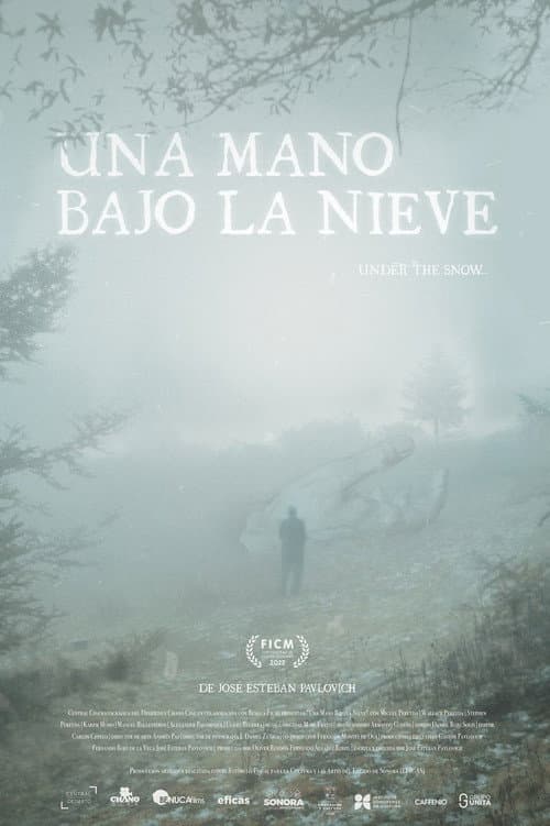 Affiche du film Una Mano Bajo La Nieve (2022)