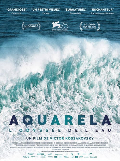 Affiche du film Aquarela (2018)