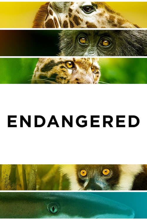 Endangered (2021) movie poster