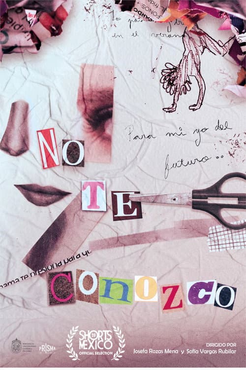 ملصق فيلم No te conozco (2025)