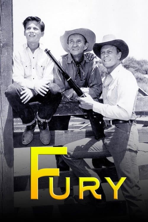 Fury (1955) movie poster