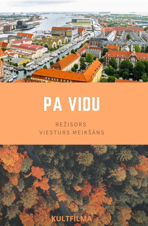 Pa vidu (2020) movie poster