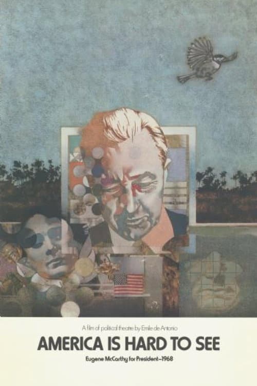 America Is Hard to See (1970) movie poster