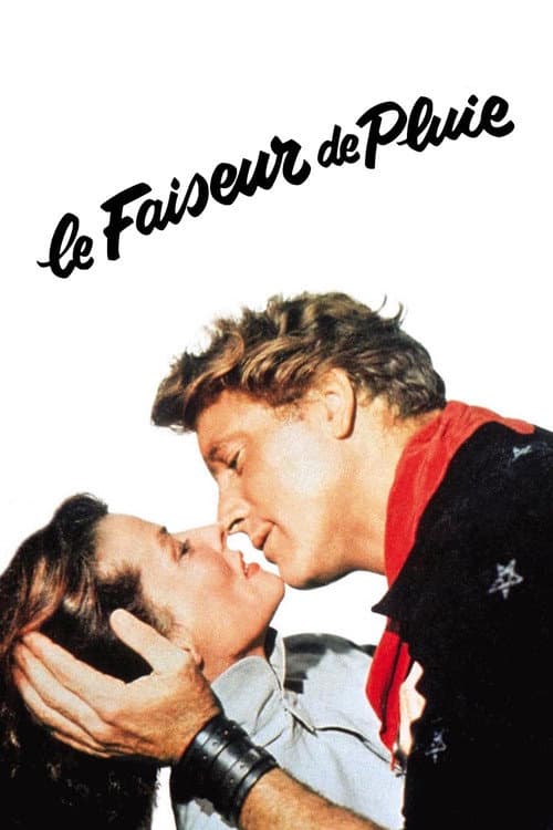 Affiche du film The Rainmaker (1956)
